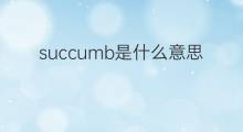 succumb是什么意思 succumb的中文翻译、读音、例句