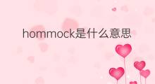 hommock是什么意思 hommock的中文翻译、读音、例句