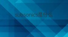 subsonics是什么意思 subsonics的中文翻译、读音、例句