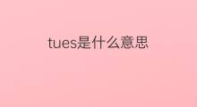 tues是什么意思 tues的中文翻译、读音、例句