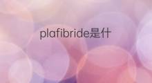plafibride是什么意思 plafibride的中文翻译、读音、例句