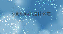 subbands是什么意思 subbands的中文翻译、读音、例句