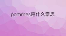 pommes是什么意思 pommes的中文翻译、读音、例句