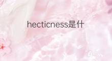 hecticness是什么意思 hecticness的中文翻译、读音、例句