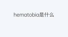 hematobia是什么意思 hematobia的中文翻译、读音、例句