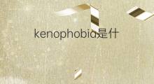 kenophobia是什么意思 kenophobia的中文翻译、读音、例句