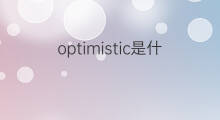 optimistic是什么意思 optimistic的中文翻译、读音、例句