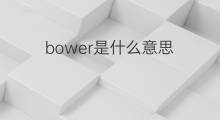 bower是什么意思 bower的中文翻译、读音、例句