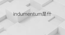indumentum是什么意思 indumentum的中文翻译、读音、例句