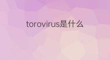 torovirus是什么意思 torovirus的中文翻译、读音、例句