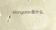 elongater是什么意思 elongater的中文翻译、读音、例句