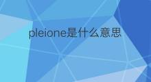 pleione是什么意思 pleione的中文翻译、读音、例句