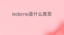 lederne是什么意思 lederne的中文翻译、读音、例句