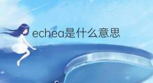 echea是什么意思 echea的中文翻译、读音、例句
