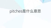 pitches是什么意思 pitches的中文翻译、读音、例句