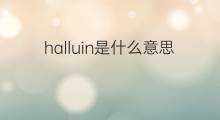 halluin是什么意思 halluin的中文翻译、读音、例句