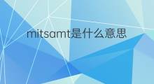 mitsamt是什么意思 mitsamt的中文翻译、读音、例句