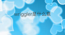 wriggler是什么意思 wriggler的中文翻译、读音、例句