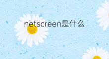 netscreen是什么意思 netscreen的中文翻译、读音、例句