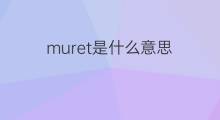 muret是什么意思 英文名muret的翻译、发音、来源
