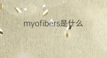 myofibers是什么意思 myofibers的中文翻译、读音、例句