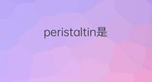 peristaltin是什么意思 peristaltin的中文翻译、读音、例句