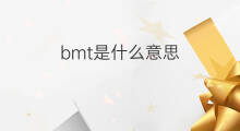 bmt是什么意思 bmt的中文翻译、读音、例句
