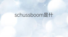 schussboom是什么意思 schussboom的中文翻译、读音、例句