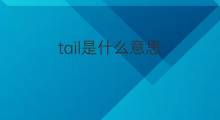 tail是什么意思 tail的中文翻译、读音、例句