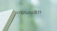 scriptural是什么意思 scriptural的中文翻译、读音、例句
