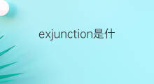 exjunction是什么意思 exjunction的中文翻译、读音、例句