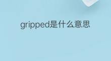 gripped是什么意思 gripped的中文翻译、读音、例句