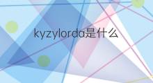 kyzylorda是什么意思 kyzylorda的中文翻译、读音、例句