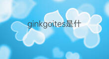 ginkgoites是什么意思 ginkgoites的中文翻译、读音、例句