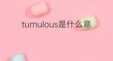 tumulous是什么意思 tumulous的翻译、读音、例句、中文解释