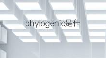 phylogenic是什么意思 phylogenic的中文翻译、读音、例句