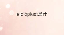 elaioplast是什么意思 elaioplast的中文翻译、读音、例句