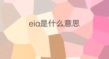 eia是什么意思 eia的翻译、读音、例句、中文解释