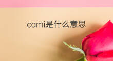 cami是什么意思 cami的中文翻译、读音、例句