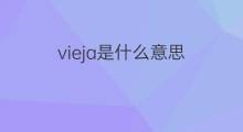 vieja是什么意思 vieja的中文翻译、读音、例句