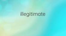 illegitimate是什么意思 illegitimate的中文翻译、读音、例句