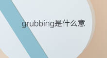 grubbing是什么意思 grubbing的中文翻译、读音、例句