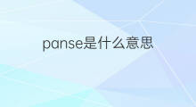 panse是什么意思 panse的中文翻译、读音、例句
