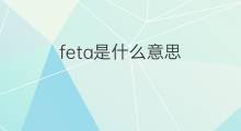 feta是什么意思 feta的中文翻译、读音、例句