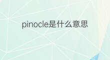 pinocle是什么意思 pinocle的中文翻译、读音、例句