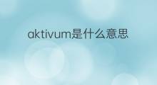 aktivum是什么意思 aktivum的中文翻译、读音、例句