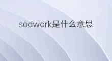 sodwork是什么意思 sodwork的中文翻译、读音、例句