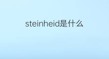 steinheid是什么意思 steinheid的中文翻译、读音、例句