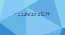 napoletano是什么意思 napoletano的中文翻译、读音、例句