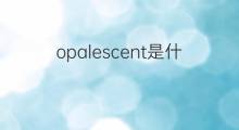 opalescent是什么意思 opalescent的中文翻译、读音、例句